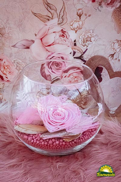 Rose éternelle rouge sous cloche - jolie rose dans un vase ballon